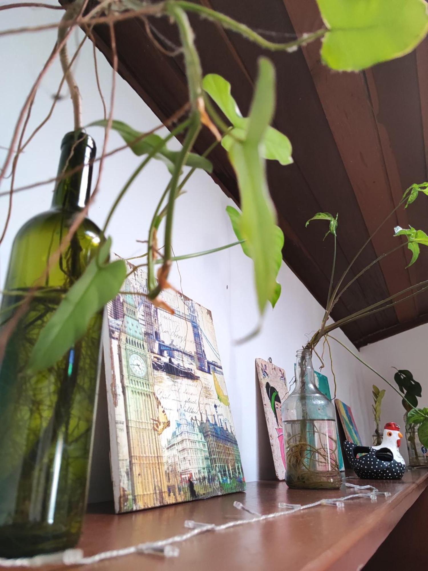 Ganesha Hostel Praia de Pipa ภายนอก รูปภาพ